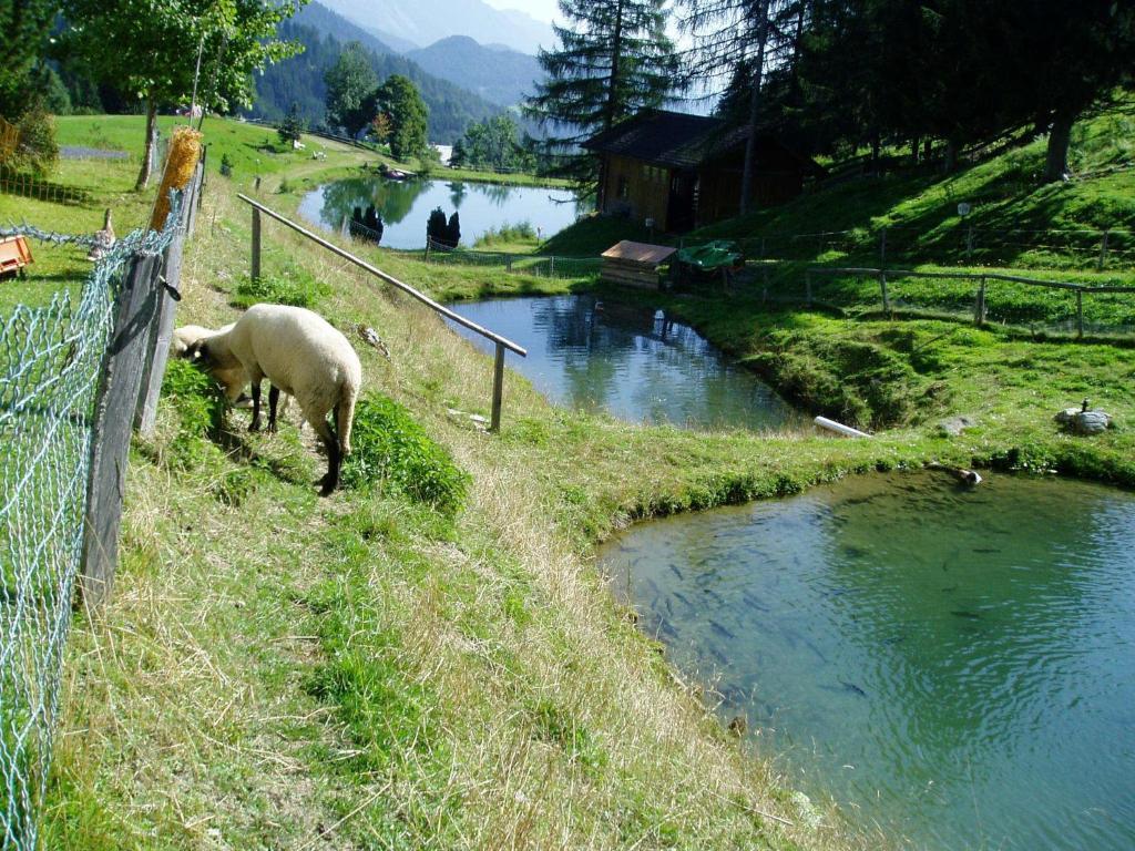 Innviertler Berggasthof Radstadt Eksteriør bilde